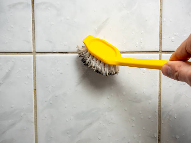 Best Commercial Mold Removal  in University Center, VA