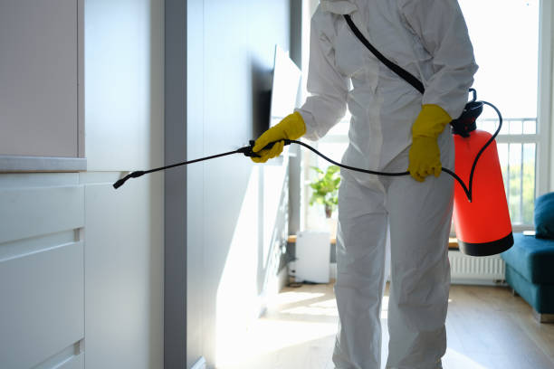 Water Damage Restoration in University Center, VA