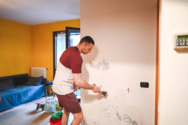 Best Local Mold Removal Service  in University Center, VA
